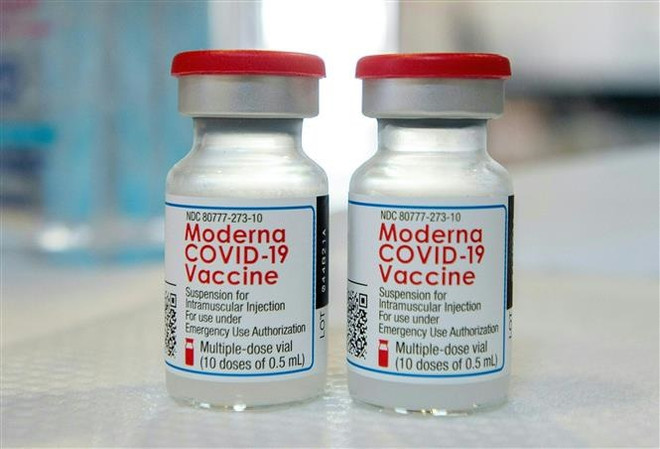 Vaccine ngừa COVID-19 của Moderna. (Ảnh: AFP/TTXVN) Hàn Quốc cấp phép sử dụng khẩn cấp vaccine cập nhật của Moderna ảnh 1