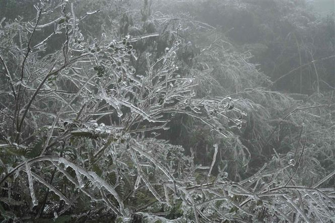 Không khí lạnh tăng cường từ đêm 22/2, Bắc Bộ và Bắc Trung Bộ rét hại ảnh 1