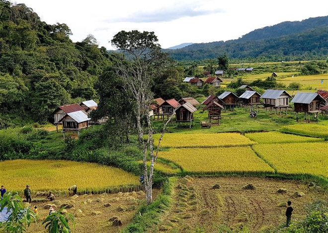 Xây dựng phương án mở cửa lại hoạt động du lịch từ ngày 15/3 ảnh 1