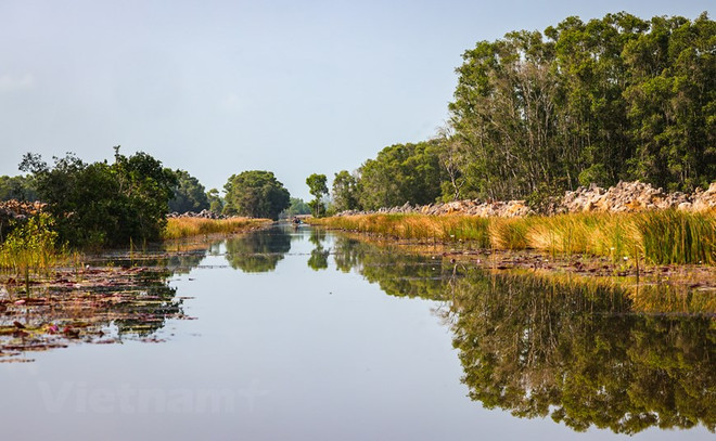 Ngày Đất ngập nước thế giới: Bảo vệ phục hồi các vùng đất ngập nước ảnh 2
