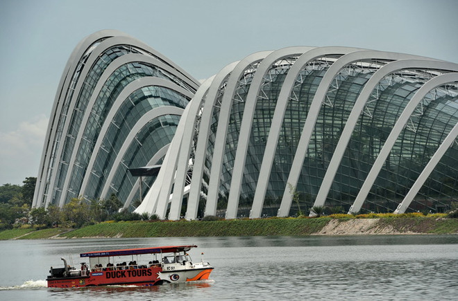 Singapore đón lượng du khách kỷ lục, bất chấp kinh tế khó khăn ảnh 1