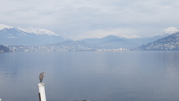 Campione - vùng lãnh thổ Italy nằm gọn trong lòng Thụy Sĩ ảnh 4