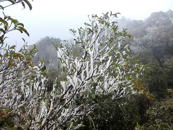 Không khí lạnh tăng cường xuống miền Bắc, có thể xuất hiện băng giá ảnh 1