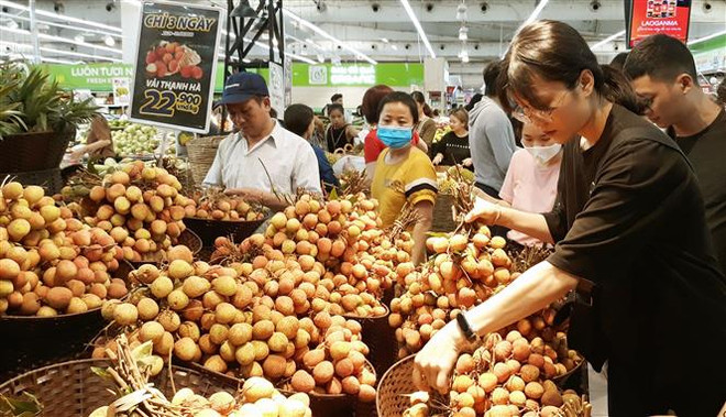Tuần hàng nông sản trái cây các vùng miền được tổ chức tại quận Hà Đông. (Ảnh: Đỗ Phương Anh/TTXVN) Đa dạng các hoạt động xúc tiến thương mại, kích cầu tiêu dùng nội địa ảnh 1