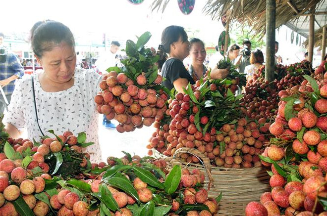 Hà Nội đẩy mạnh kích cầu tiêu dùng sau đại dịch COVID-19 ảnh 2