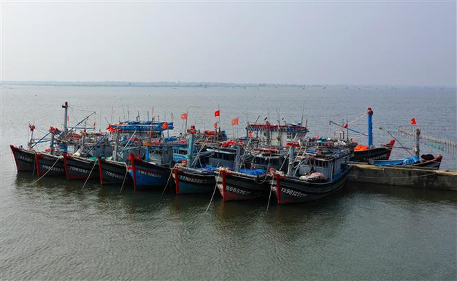 Các tỉnh, thành phố ven biển chủ động ứng phó với áp thấp nhiệt đới ảnh 1