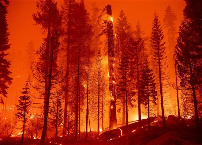 Tổng thống Mỹ Joe Biden ban bố tình trạng khẩn cấp tại California ảnh 1