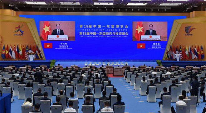 Phó Thủ tướng Lê Văn Thành dự Lễ Khai mạc CAEXPO và CABIS ảnh 1