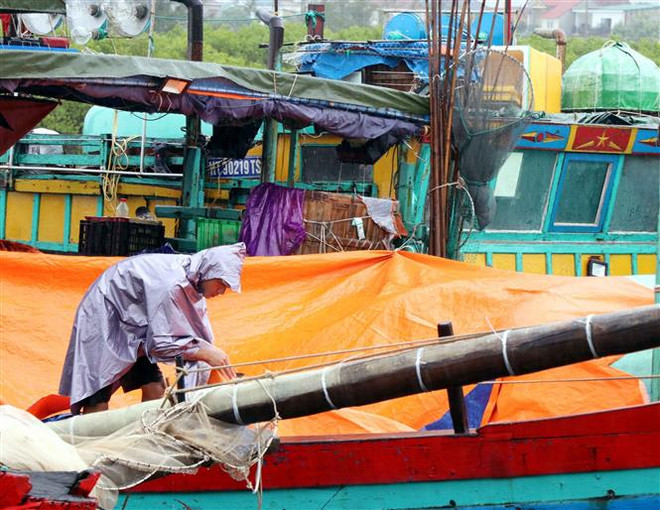 Hải Phòng và Thái Bình chủ động ứng phó với cơn bão số 5 ảnh 1