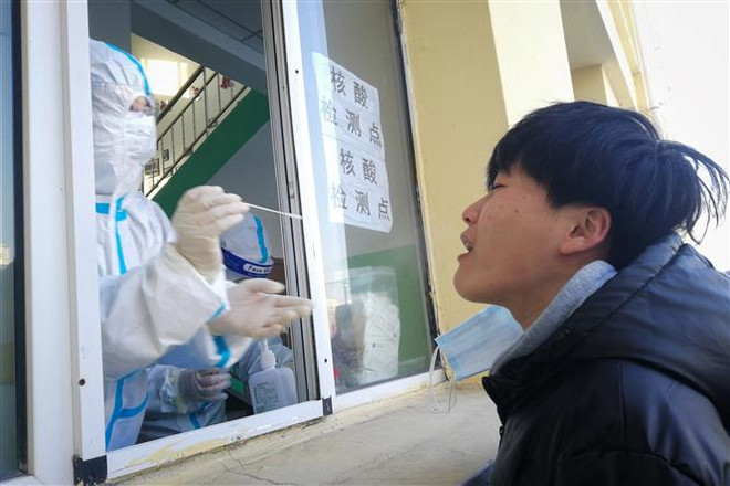 Nhân viên y tế lấy mẫu xét nghiệm COVID-19 tại tỉnh Hắc Long Giang, Trung Quốc, ngày 13/1/2021. (Ảnh: AFP/TTXVN) Trung Quốc: Cáp Nhĩ Tân áp đặt bán phong tỏa sau ca nhiễm cộng đồng ảnh 1