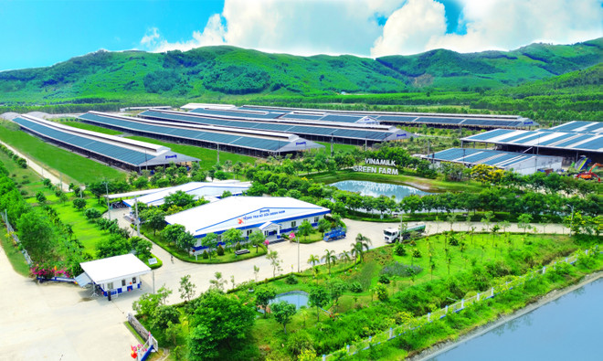 Hệ thống 14 trang trại Vinamilk trên cả nước hiện đang được áp dụng nhiều giải pháp về nông nghiệp bền vững và năng lượng xanh. (Nguồn: Vietnam+) anh_15.jpg