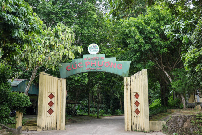 Vườn Quốc gia Cúc Phương thành lập đầu tiên vào năm 1962, thuộc địa phận của 3 tỉnh: Thanh Hóa, Hòa Bình và Ninh Bình. (Nguồn: Vietnam+) vnp_cuc_phuong_1.JPG