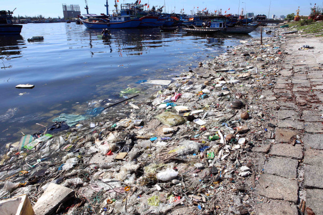 Tình trạng ô nhiễm môi trường nghiêm trọng tại Đà Nẵng ảnh 7