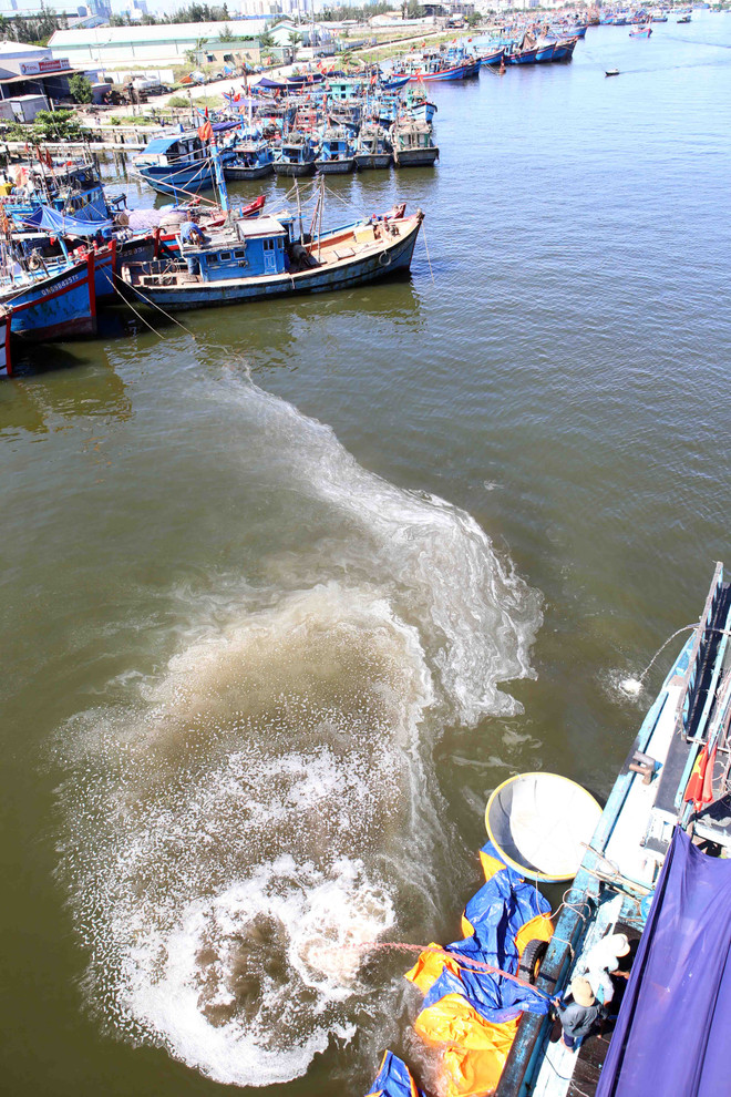 Tình trạng ô nhiễm môi trường nghiêm trọng tại Đà Nẵng ảnh 2