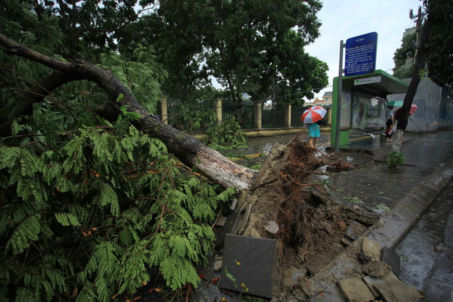 Tối 28/7, các tỉnh Bắc Bộ tiếp tục có mưa to đến rất to ảnh 1