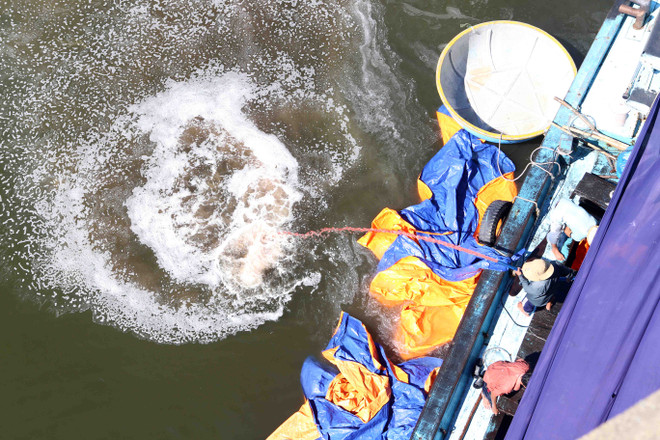 Tình trạng ô nhiễm môi trường nghiêm trọng tại Đà Nẵng ảnh 4