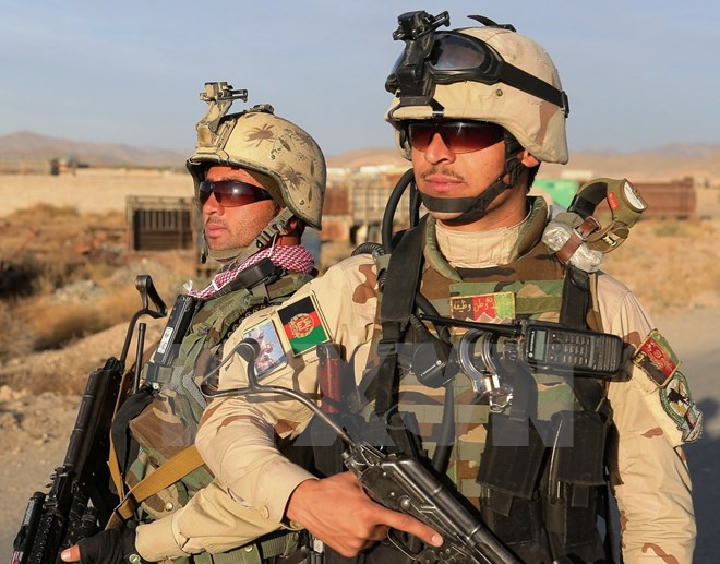 Afghanistan tiêu diệt gần 40 phiến quân trong 24 giờ ảnh 1