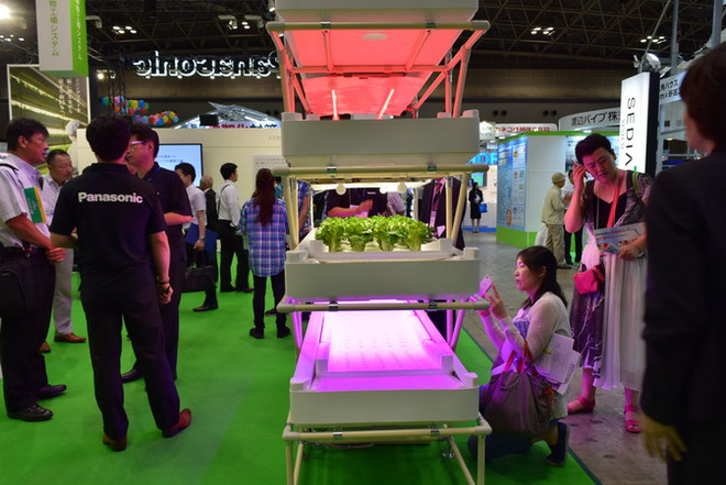 Triển lãm duy nhất của Nhật Bản về trồng trọt công nghệ cao ảnh 1