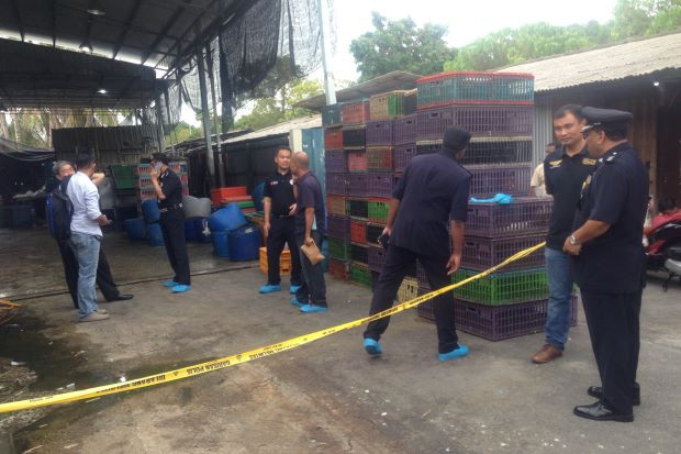 Thanh niên bắn chết cả nhà vì không xin được tiền mua ma túy ảnh 1