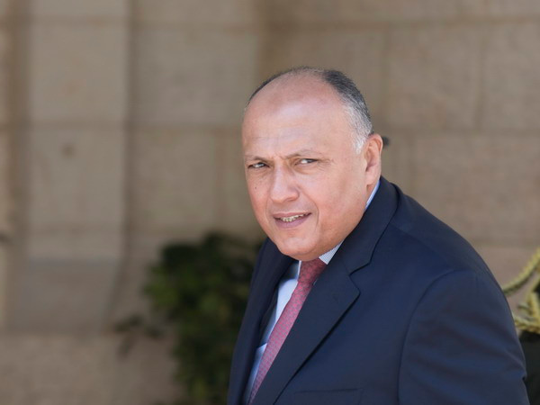 Ngoại trưởng Ai Cập có chuyến thăm hiếm hoi tới Israel ảnh 1