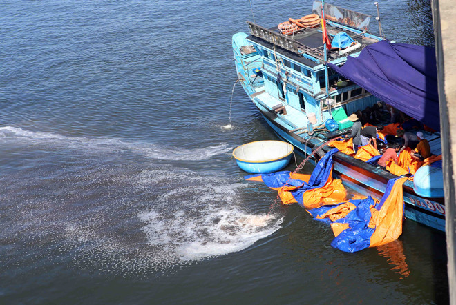 Tình trạng ô nhiễm môi trường nghiêm trọng tại Đà Nẵng ảnh 3