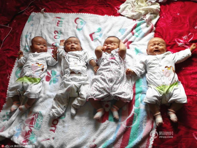 [Photo] Cuộc sống của những gia đình sinh tư, sinh năm ảnh 10