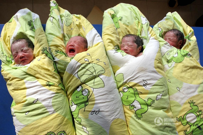 [Photo] Cuộc sống của những gia đình sinh tư, sinh năm ảnh 8