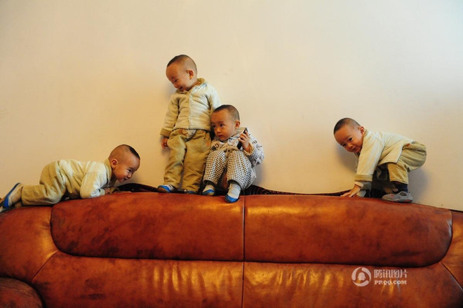 [Photo] Cuộc sống của những gia đình sinh tư, sinh năm ảnh 12