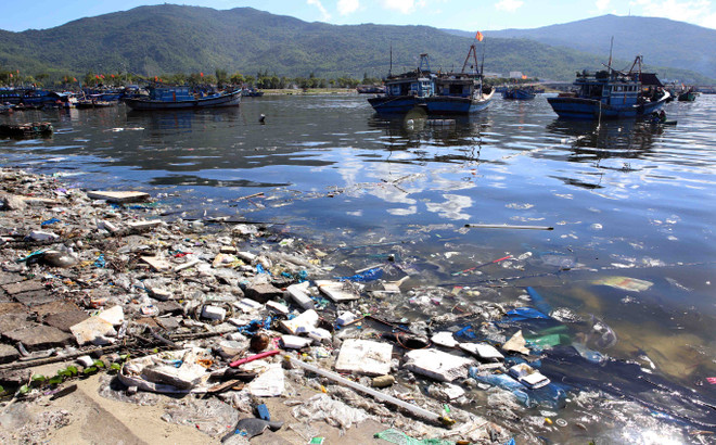 Tình trạng ô nhiễm môi trường nghiêm trọng tại Đà Nẵng ảnh 6