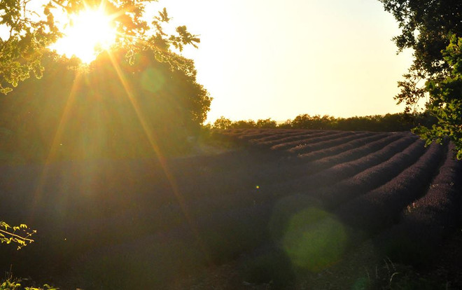 Những nẻo đường EURO: Trên con đường của xứ Provence ảnh 2