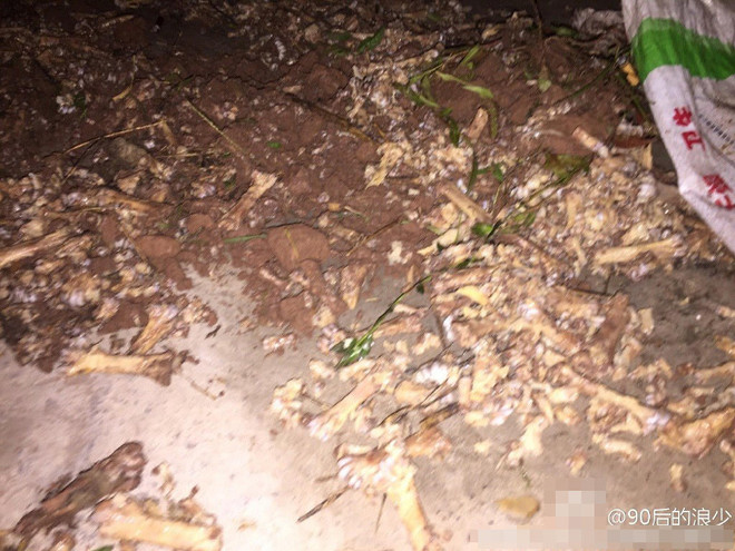 Trường học Trung Quốc dùng xương gà thối nấu canh cho học sinh ảnh 4