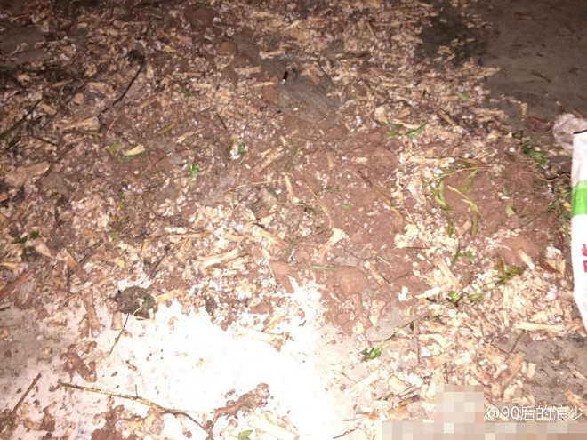 Trường học Trung Quốc dùng xương gà thối nấu canh cho học sinh ảnh 5