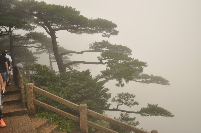 Khám phá thiên hạ đệ nhất kỳ sơn Trung Quốc - dãy Hoàng Sơn ảnh 4