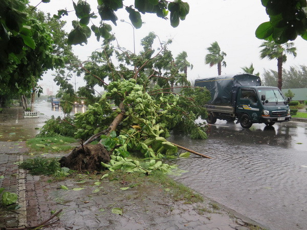 Bão số 3 gây ách tắc giao thông trên nhiều tuyến quốc lộ ảnh 1