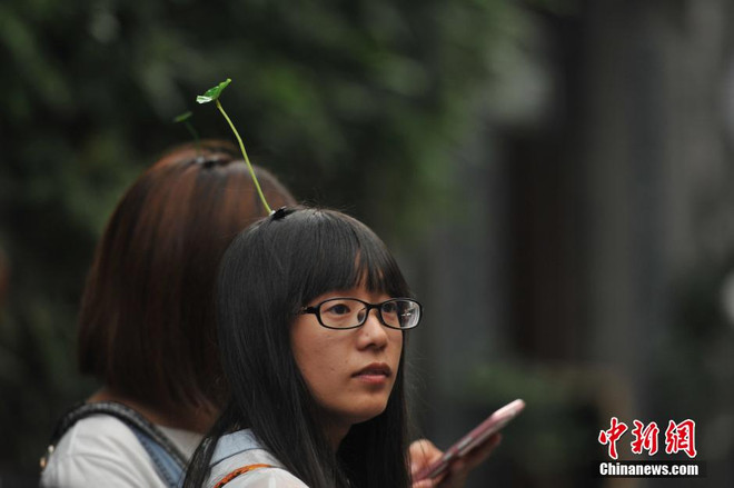 Kiếm bộn tiền nhờ trào lưu kẹp tóc mầm cây gây sốt ở Trung Quốc ảnh 4