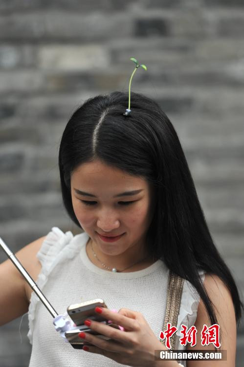 Kiếm bộn tiền nhờ trào lưu kẹp tóc mầm cây gây sốt ở Trung Quốc ảnh 3