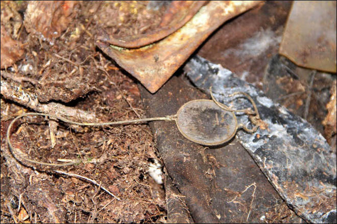 Tìm thấy hài cốt nạn nhân và xác máy bay mất tích cách đây 80 năm ảnh 3