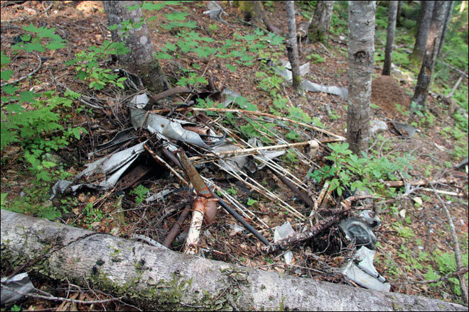 Tìm thấy hài cốt nạn nhân và xác máy bay mất tích cách đây 80 năm ảnh 5