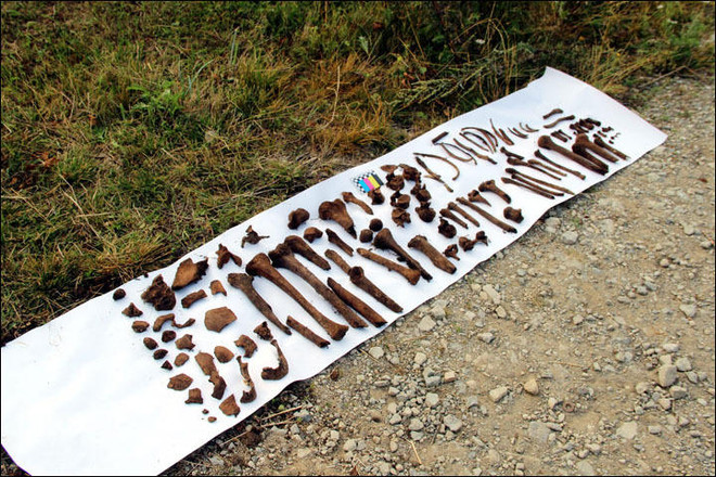 Tìm thấy hài cốt nạn nhân và xác máy bay mất tích cách đây 80 năm ảnh 2