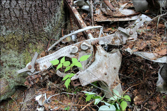 Tìm thấy hài cốt nạn nhân và xác máy bay mất tích cách đây 80 năm ảnh 6