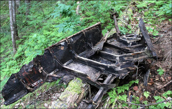 Tìm thấy hài cốt nạn nhân và xác máy bay mất tích cách đây 80 năm ảnh 4