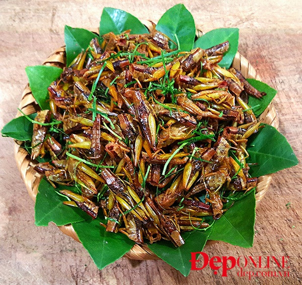 Châu chấu rang mùa gặt, món ngon của làng quê Bắc Bộ ảnh 4