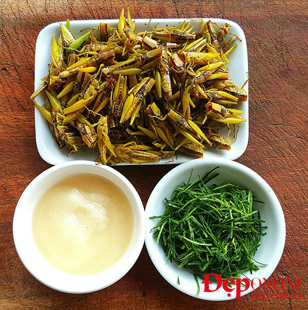 Châu chấu rang mùa gặt, món ngon của làng quê Bắc Bộ ảnh 2