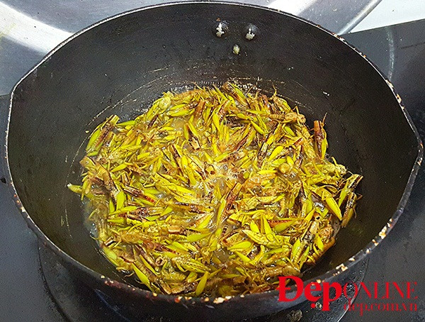 Châu chấu rang mùa gặt, món ngon của làng quê Bắc Bộ ảnh 3