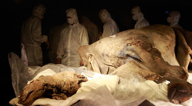 Nhân bản vô tính động vật từ thời tiền sử để tạo “Công viên kỷ Jura” ảnh 1