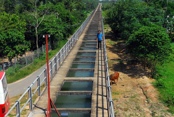 Củ Chi trở thành huyện nông thôn mới đầu tiên của TP. HCM ảnh 1