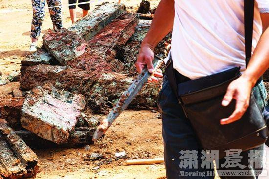 Bộ xương chủ nhân ngôi mộ cổ thời Chiến Quốc biến mất bí ẩn ảnh 2