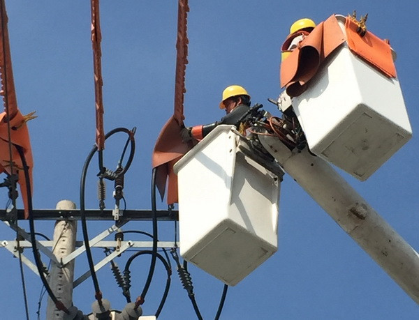 Thành phố Hồ Chí Minh lắp đặt điện kế điện tử đo đếm từ xa ảnh 1