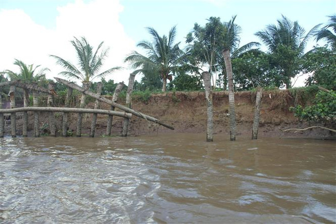 Tàu cao tốc - nỗi ám ảnh của người dân trên các cù lao tỉnh Sóc Trăng ảnh 1