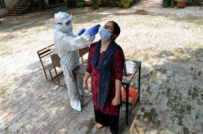 Dịch COVID-19 đến 6h sáng 11/8: Thế giới có hơn 20,2 triệu người mắc ảnh 2